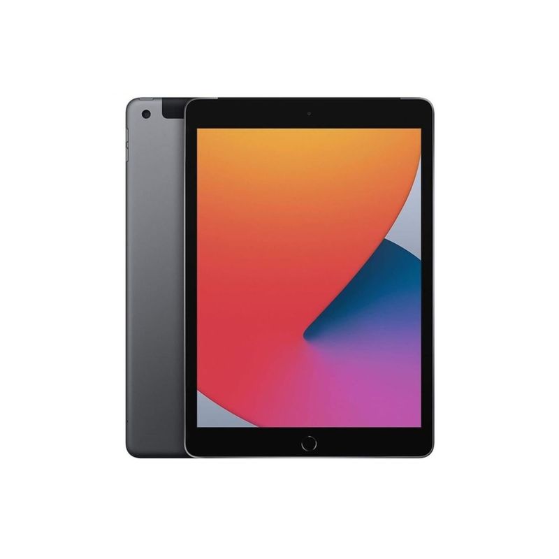 iPad-A2429-Gris-espacial-1