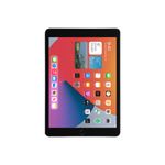 iPad-A2429-Gris-espacial-2